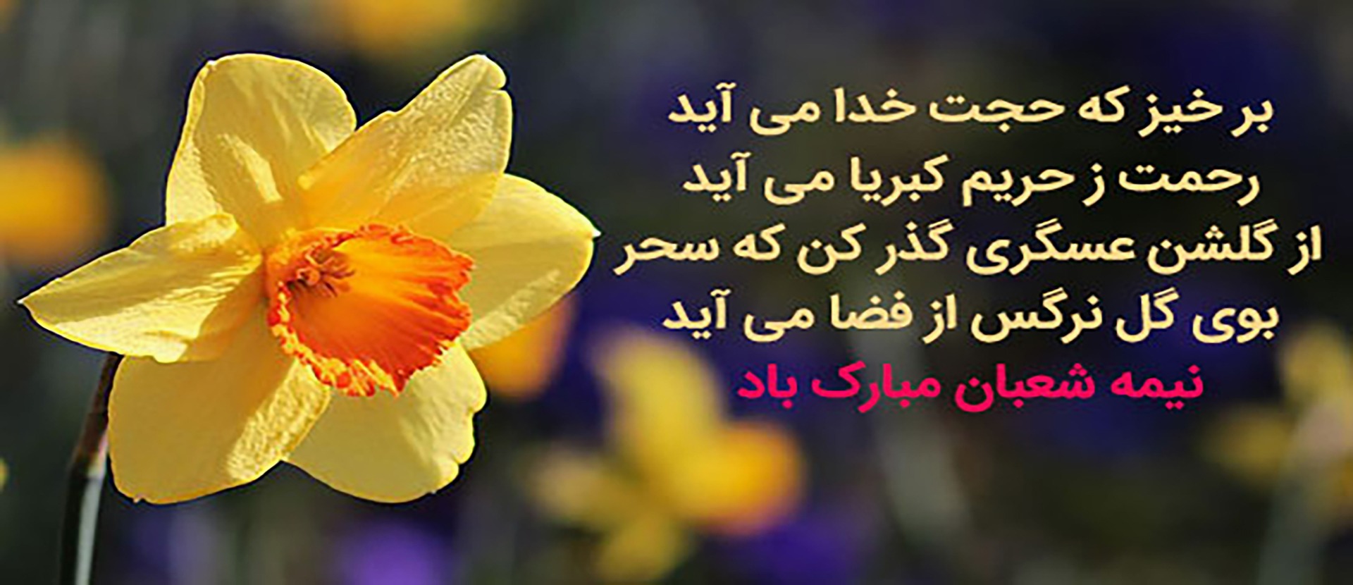 اسلایدر اعیاد شعبانیه